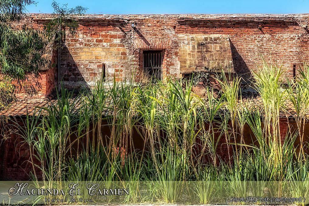 Hacienda El Carmen Hotel & Spa Teuchitlán المظهر الخارجي الصورة