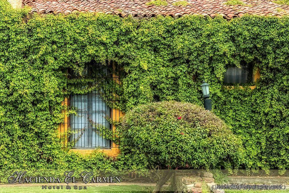 Hacienda El Carmen Hotel & Spa Teuchitlán المظهر الخارجي الصورة